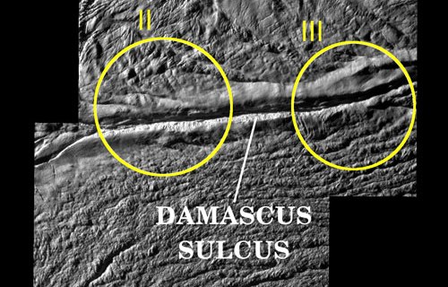 :  Damascus Sulcus
